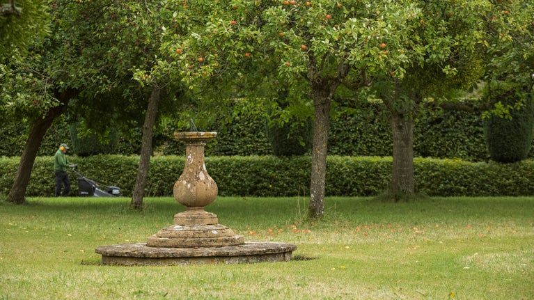 Sundial in the orchard with fruit on the trees and someone mowing in the background.